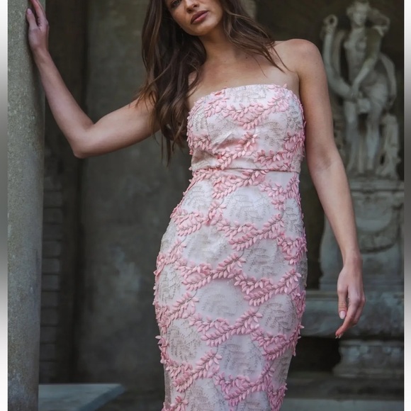 NWT ALB Baby Pink Strapless Floral Gown - Picture 3 of 11